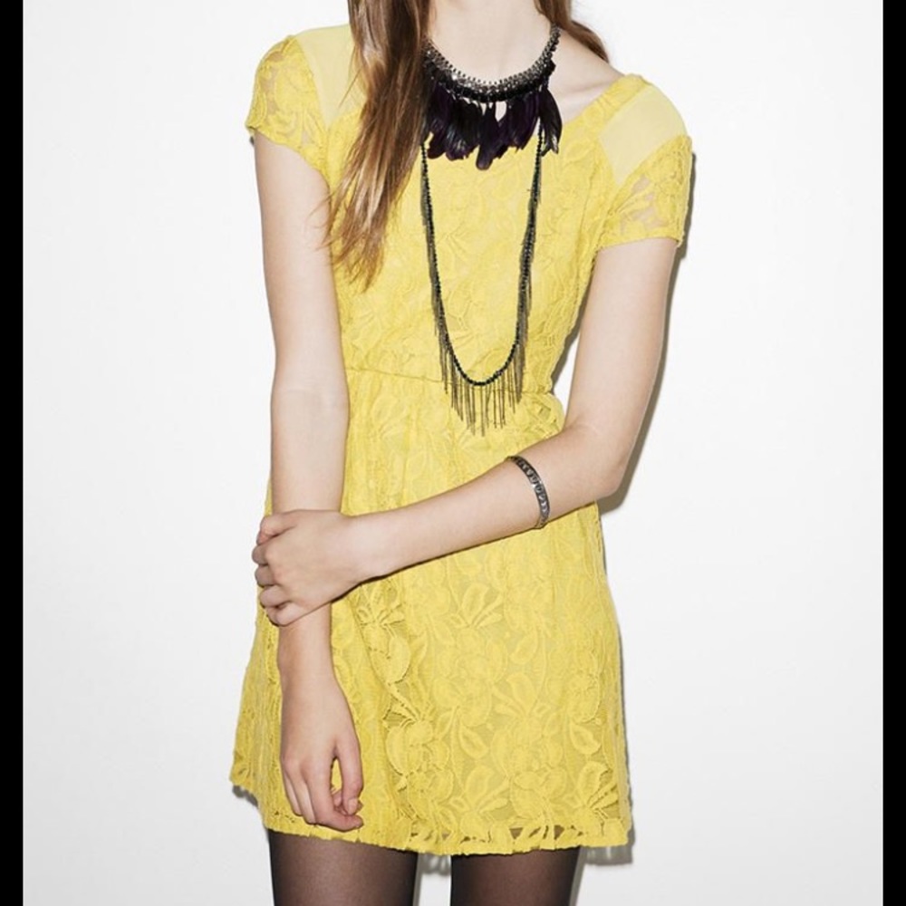 Coincidence and Chance Lace Fit and Flare Dress, M